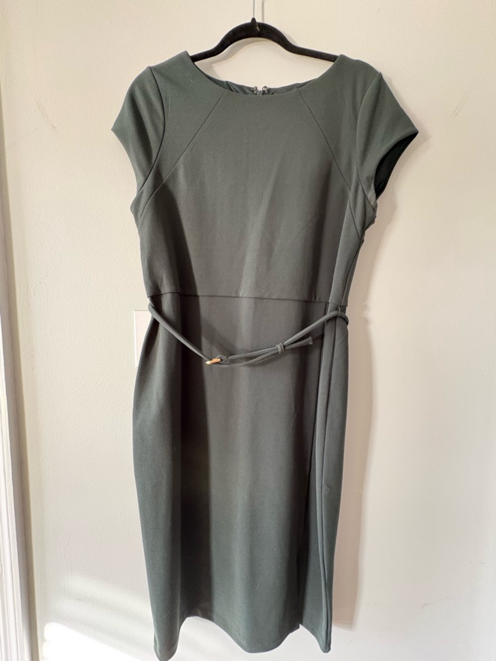 Express Olive Green Cap-Sleeve Sheath Dress